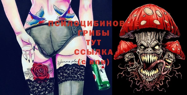 мдпв Няндома