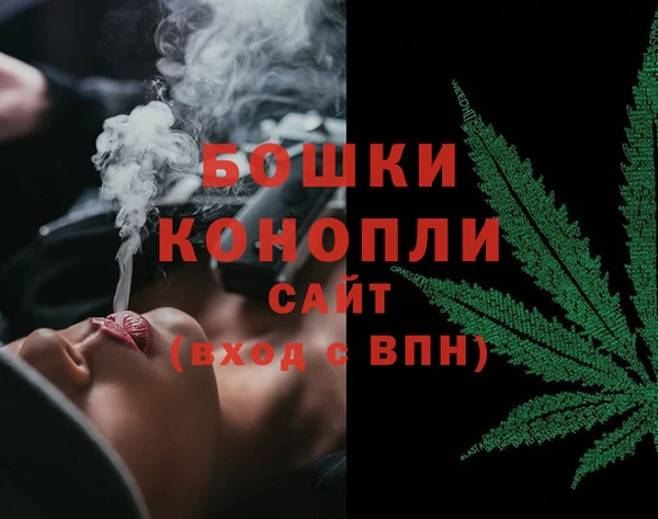 мдпв Няндома